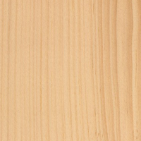 Eastern White Pine
