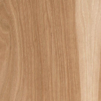 Hickory