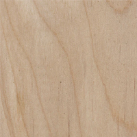 Yellow Birch